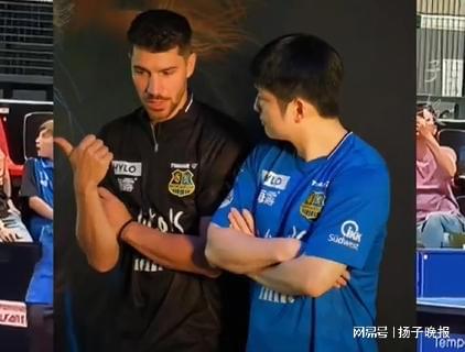 樊振東德甲首秀，一票難求，倒計時開啟。