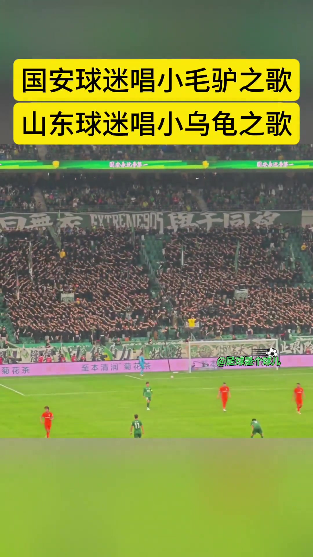 別樣拉歌國(guó)安球迷此前開(kāi)火車唱小毛驢泰山球迷則唱小烏龜回敬