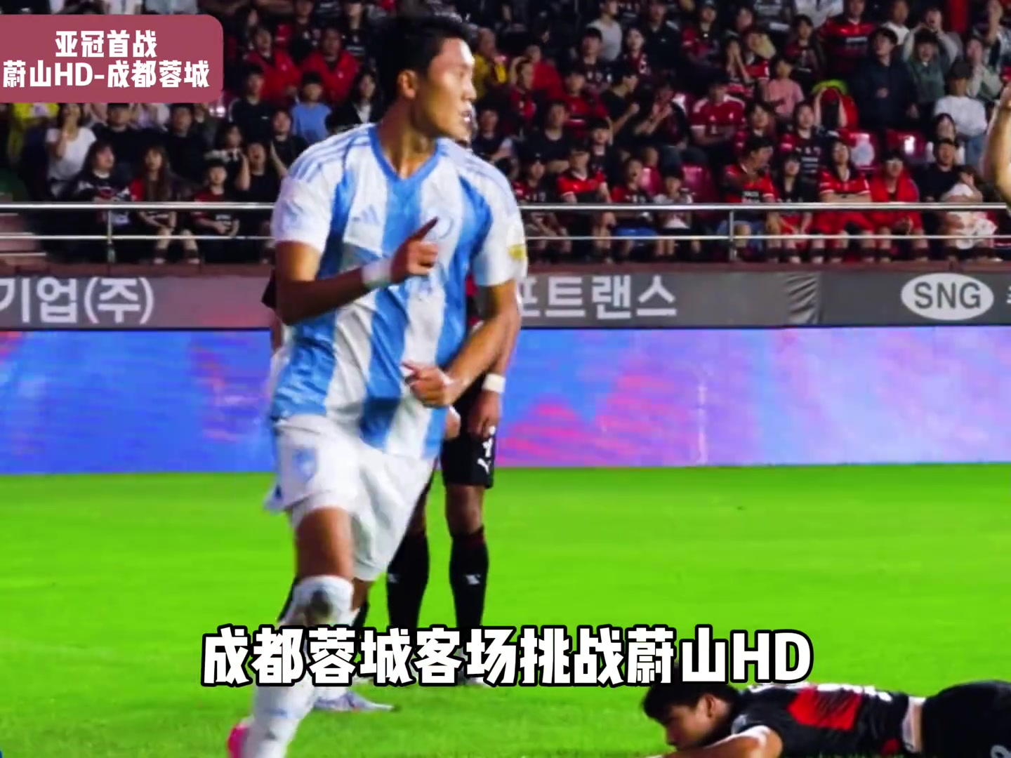 亞冠首戰(zhàn)重磅來襲蔚山HDvs成都蓉城究竟誰能取得開門紅