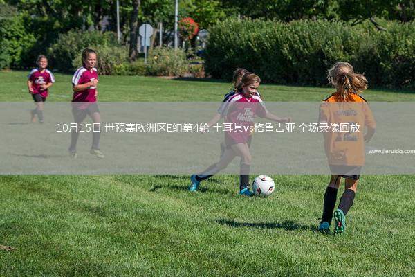 10月15日 世預賽歐洲區(qū)E組第4輪 土耳其vs格魯吉亞 全場錄像回放