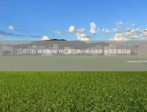 11月02日 德甲第9輪 拜仁慕尼黑vs勒沃庫森 全場錄像回放