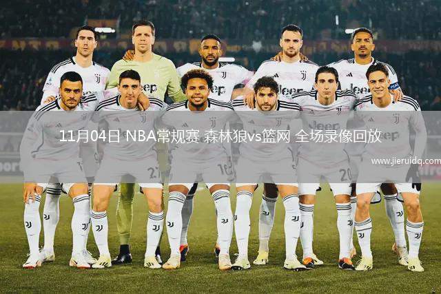 11月04日 NBA常規(guī)賽 森林狼vs籃網(wǎng) 全場錄像回放