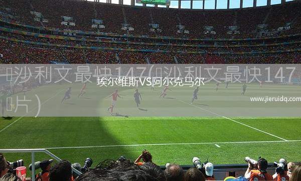 埃爾維斯VS阿爾克馬爾