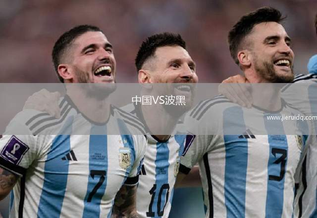 中國(guó)VS波黑