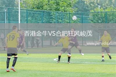 香港金牛VS合肥狂風峻茂