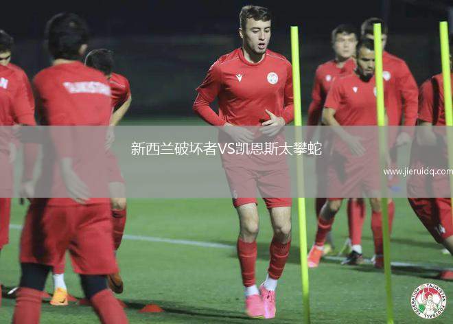 新西蘭破壞者VS凱恩斯太攀蛇