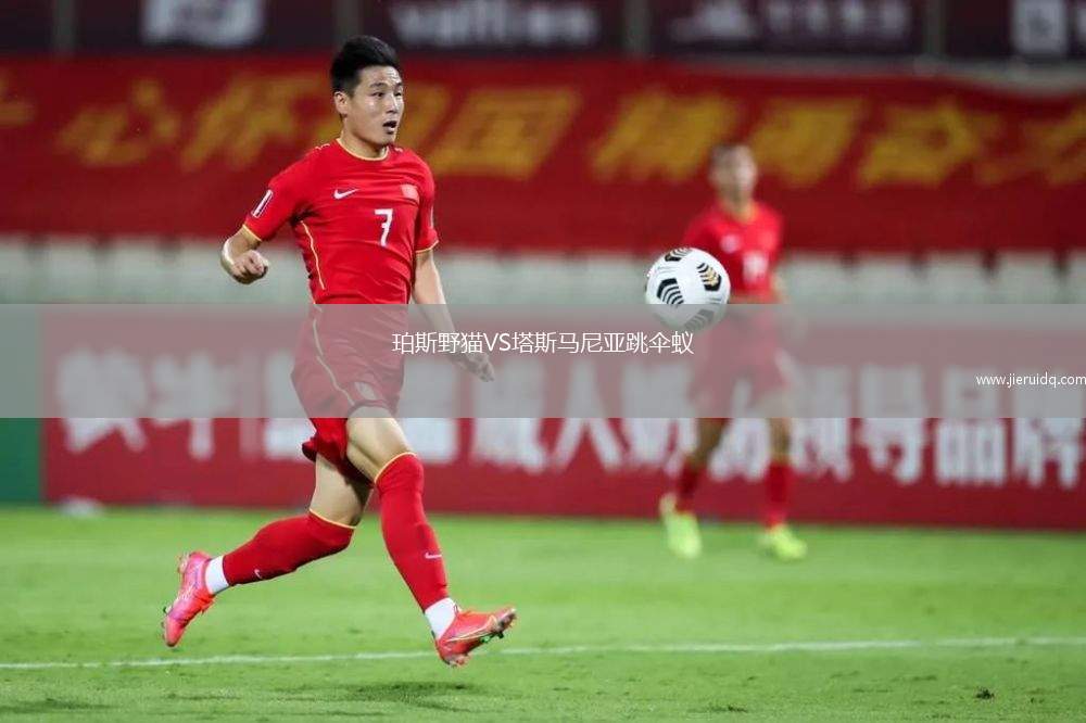 珀斯野貓VS塔斯馬尼亞跳傘蟻