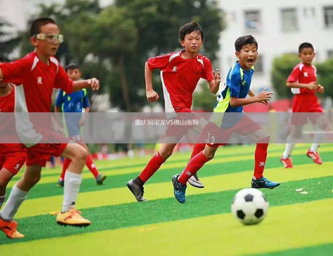 重慶銅梁龍VS佛山南獅