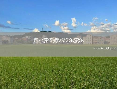 切爾滕漢姆VS沃爾索爾