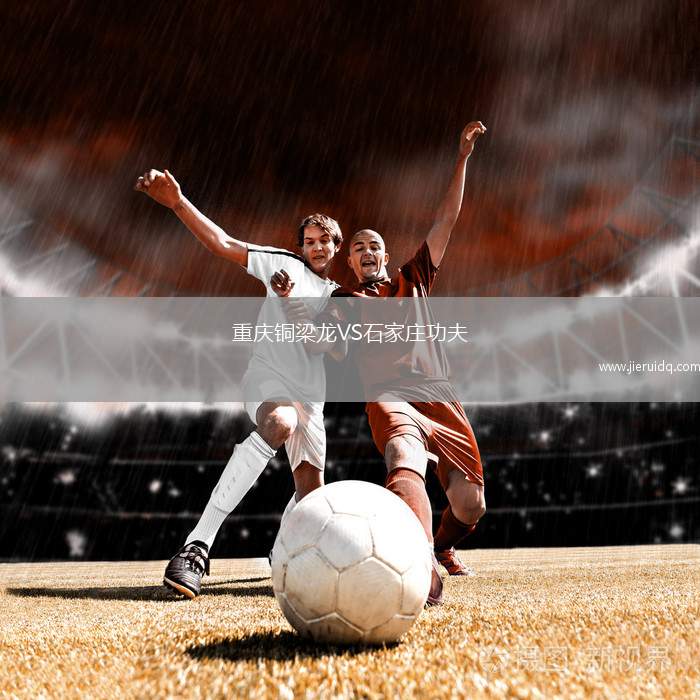 重慶銅梁龍VS石家莊功夫