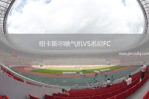 紐卡斯?fàn)枃姎鈾C(jī)VS悉尼FC