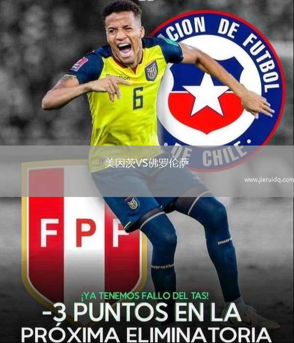 美因茨VS佛羅倫薩